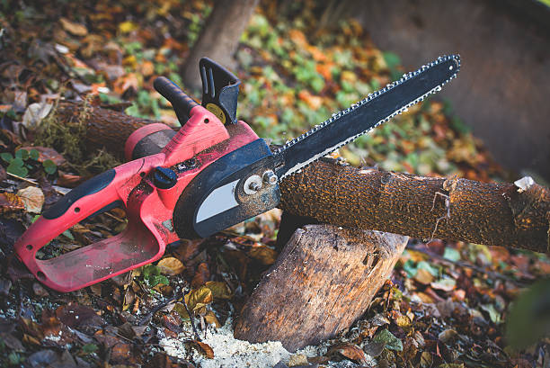 Best Emergency Tree Removal  in Ardia, CA